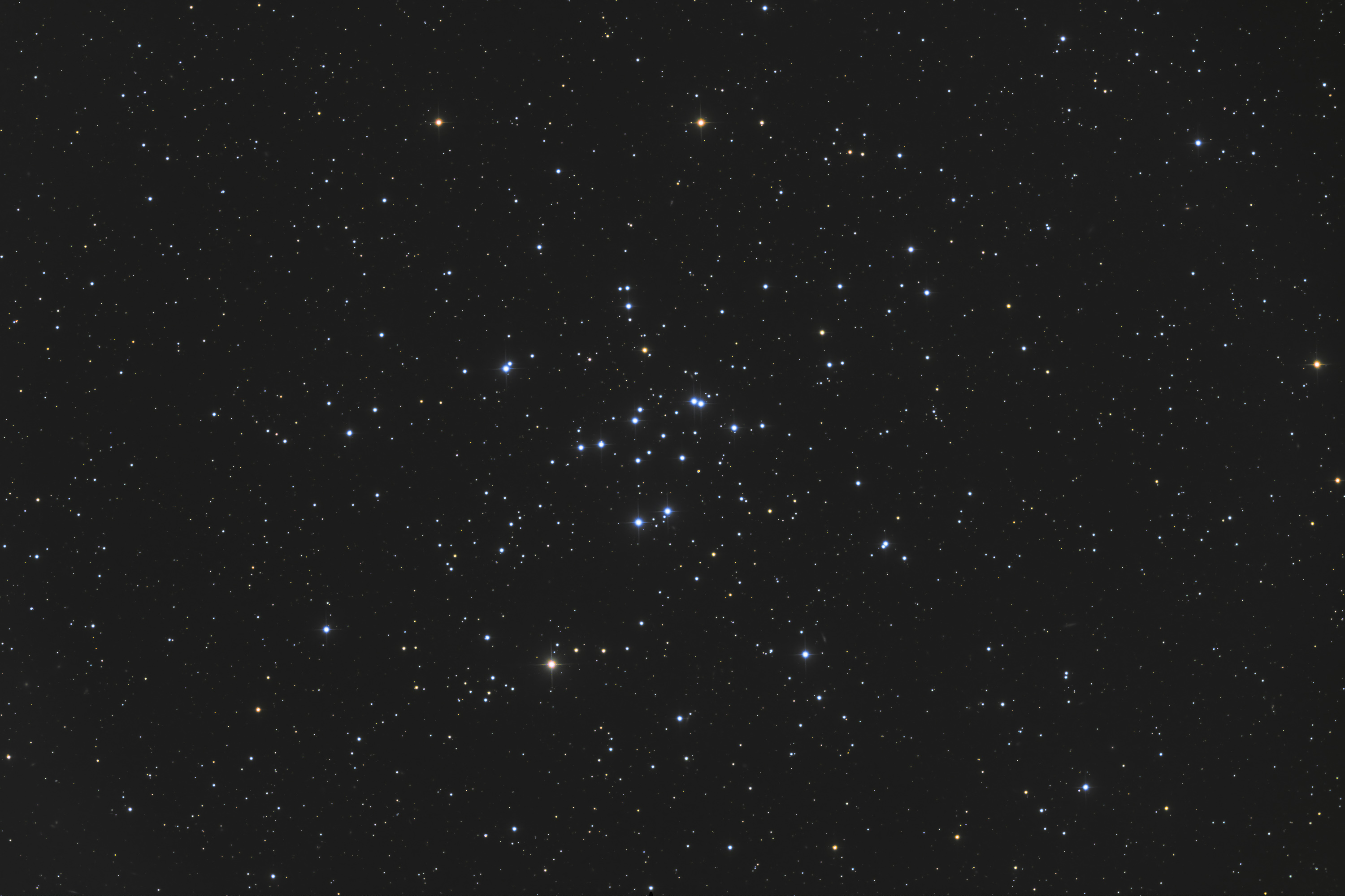 240729_m34_open_star_cluster_-_cdk17_reduced_lrgb.jpg