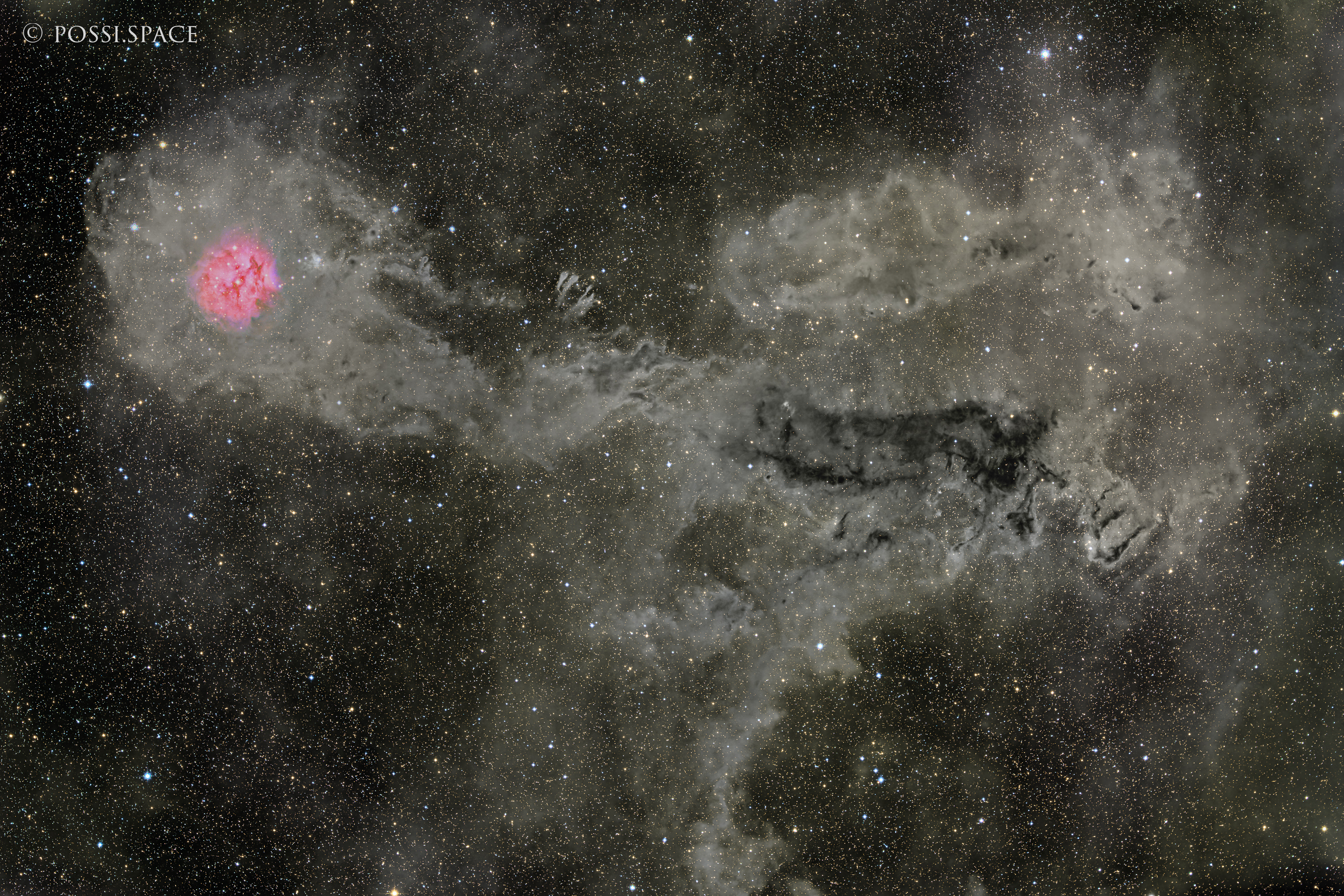 250827_ic5146_cocoon_nebula_and_ldn_around_-_rasa36_rggb.jpg