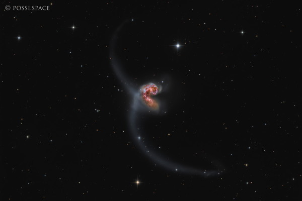 Click for full size 210324_ngc4038_antennae_galaxies_-_chile_cdk24_remote_lrgb.jpg