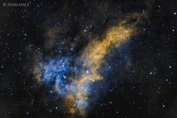 Click for full size 210930_ic1318a_gamma_cygni_nordwest_-_cdk17_reduced.jpg