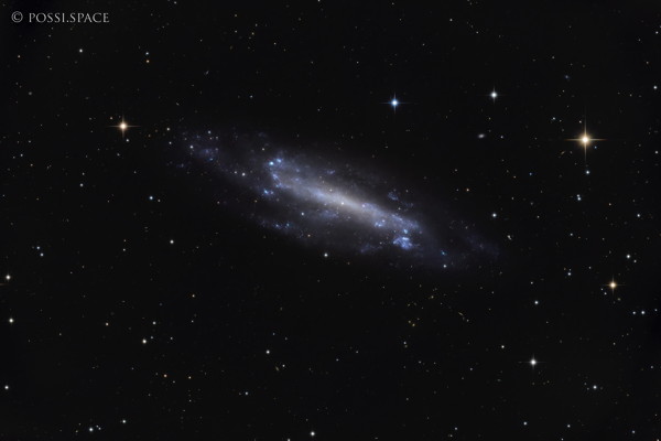 Click for full size 220503_ngc4236_draco_galaxy_-_cdk17_nativ.jpg