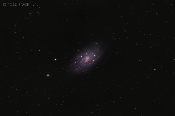230108_ngc2403_small_bright_galaxy_in_camelopardis_-_cdk_reduced_hrgb.jpg