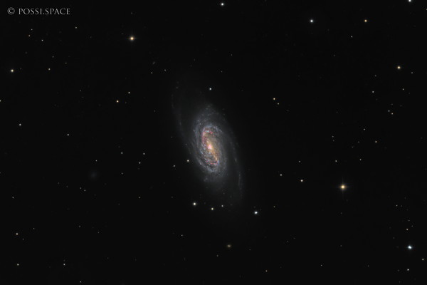Click for full size 230406_ngc2903_barred_spiral_galaxy_in_leo_-_cdk_nativ_lrgb.jpg