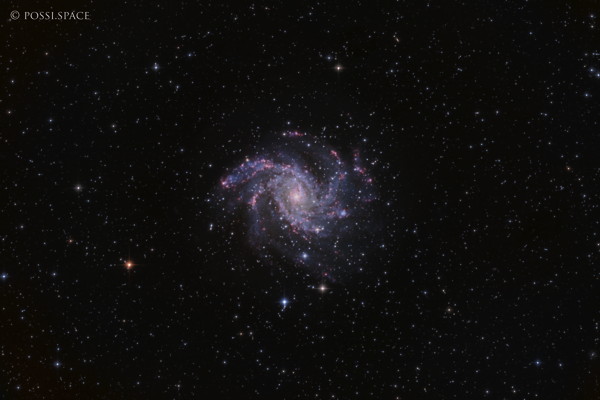 Click for full size 230531_ngc_6946_fireworks_galaxy_-_cdk17_-_hlrgb.jpg