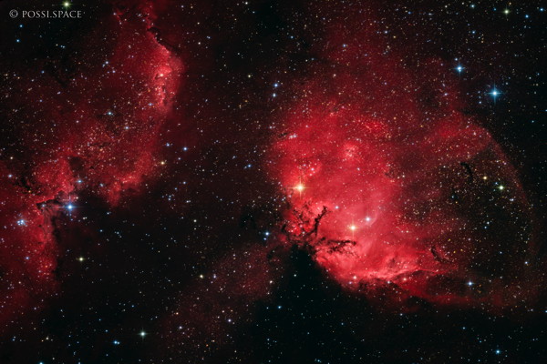 Click for full size 230716_sh2-101_tulip_nebula_-_cdk17_reduced_hgb.jpg