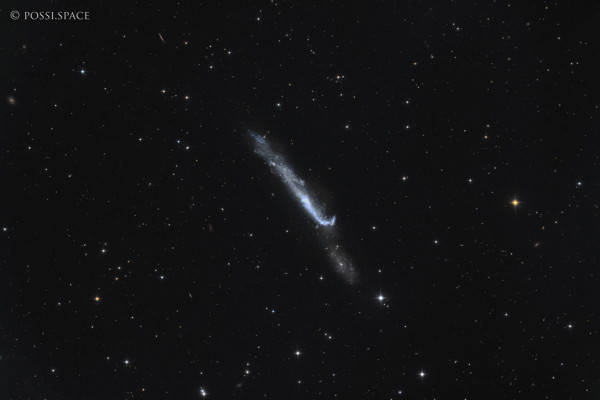 Click for full size 240403_ngc4656_hockey_stick_galaxy_-_cdk17_reduced_hlrgb.jpg