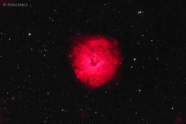 Click for full size 241103_sh2-170_small_rosette_nebula_-_cdk17_reduced_hgo.jpg