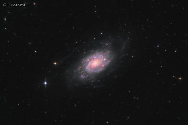 250305_ngc2403_spiral_galaxy_-_cdk17_nativ_hlrgb.jpg