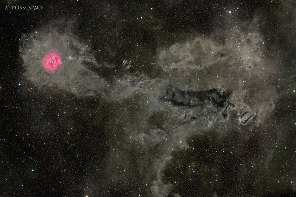 250827_ic5146_cocoon_nebula_and_ldn_around_-_rasa36_rggb.jpg