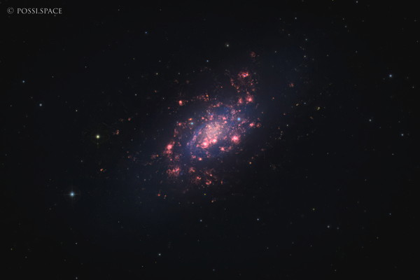 251231_ngc2403_galaxy_in_camelopardalis_-_cdk17reduced_hgb-bearbeitet.jpg
